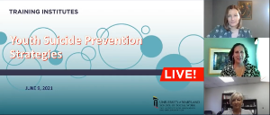 Youth Suicide Prevention Strategies